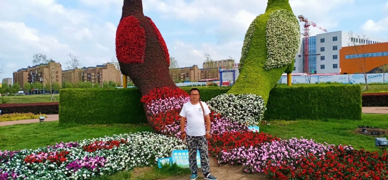 尘埃的第一张照片--吉林蓝颜知己交友网