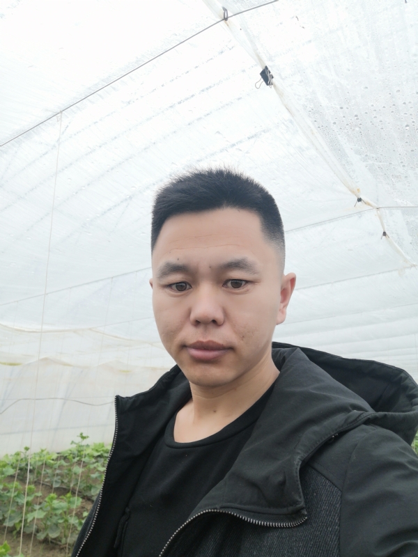 宇成的第二张照片--吉林蓝颜知己交友网