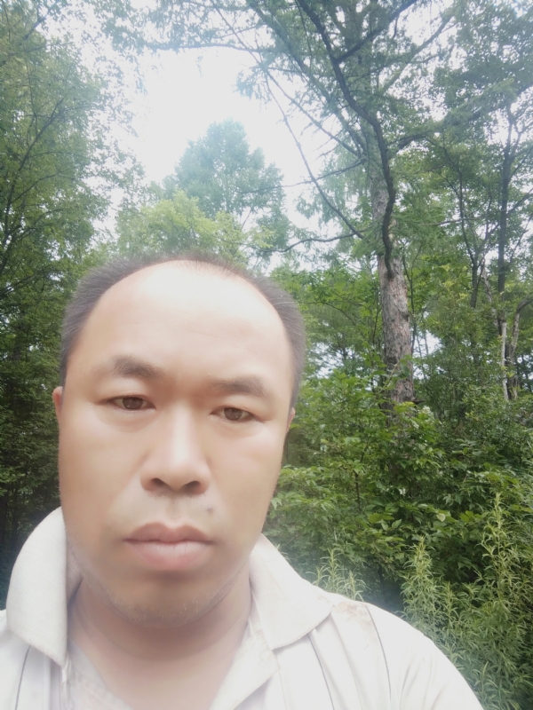 永恒的第一张照片--吉林蓝颜知己交友网